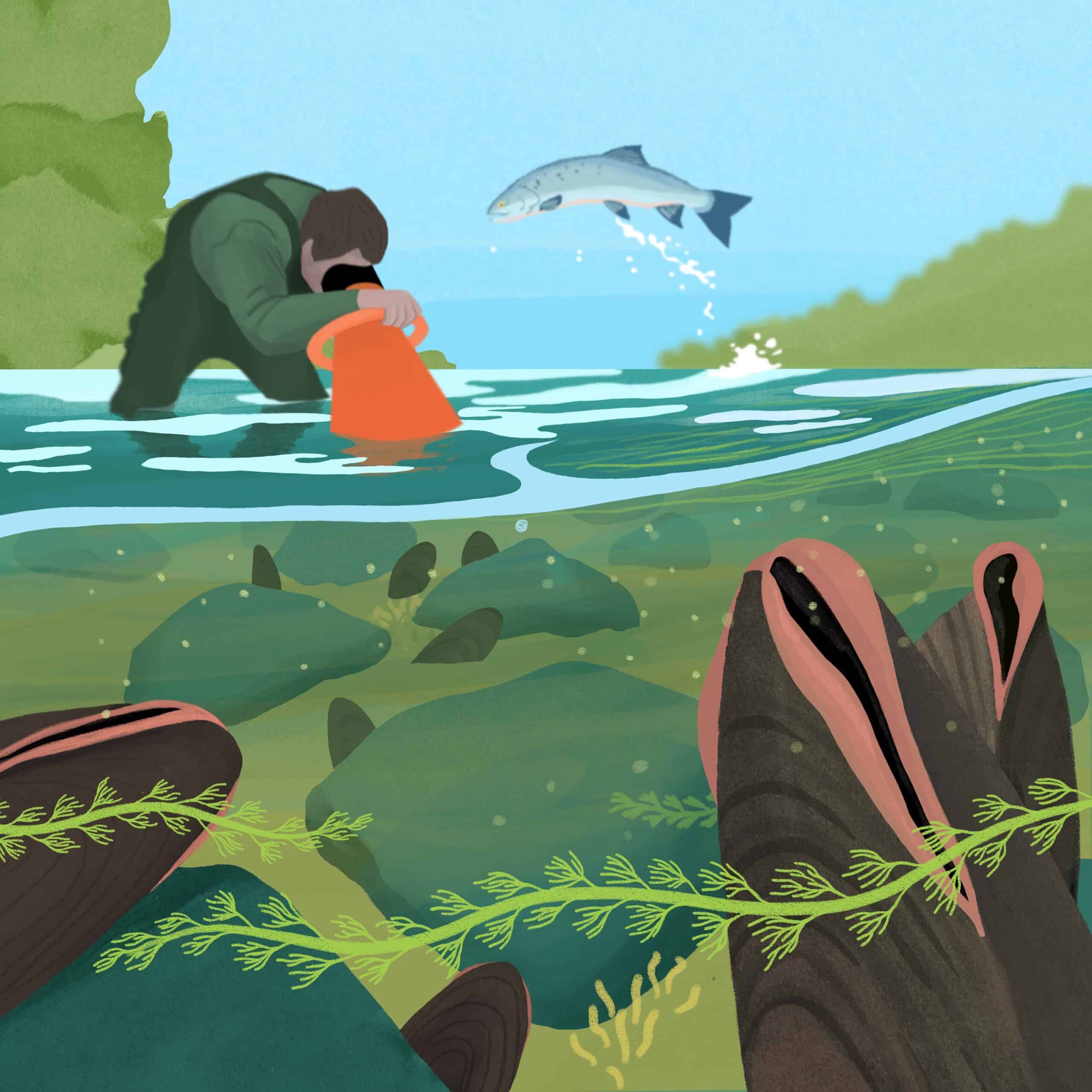 Mussel Memorie