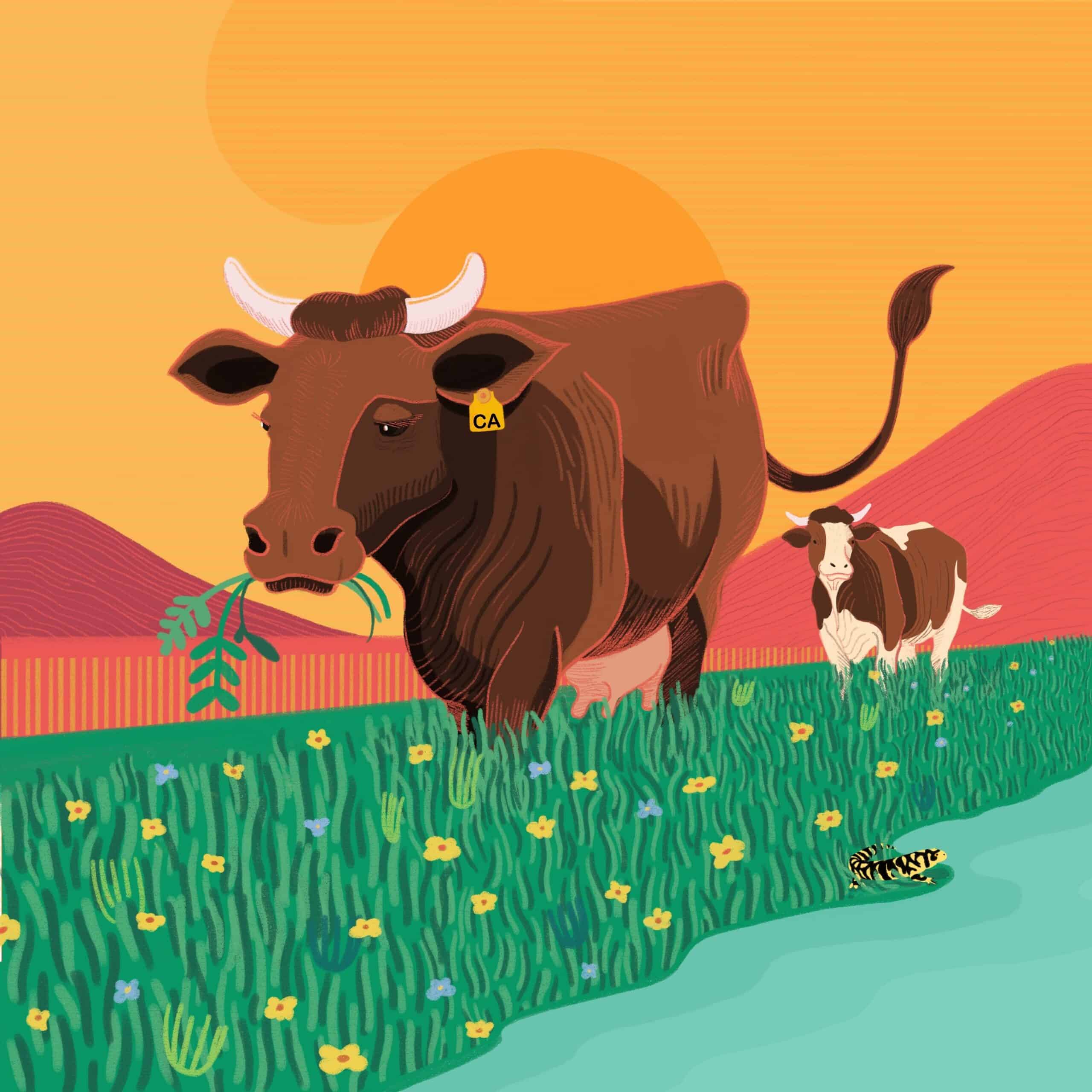 Welcome to Cowlifornia – Cover Art