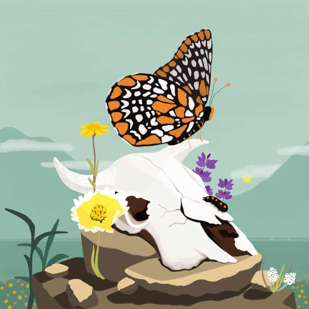 Colorful butterfly perched on a white animal skull with flowers and mountains in background.
