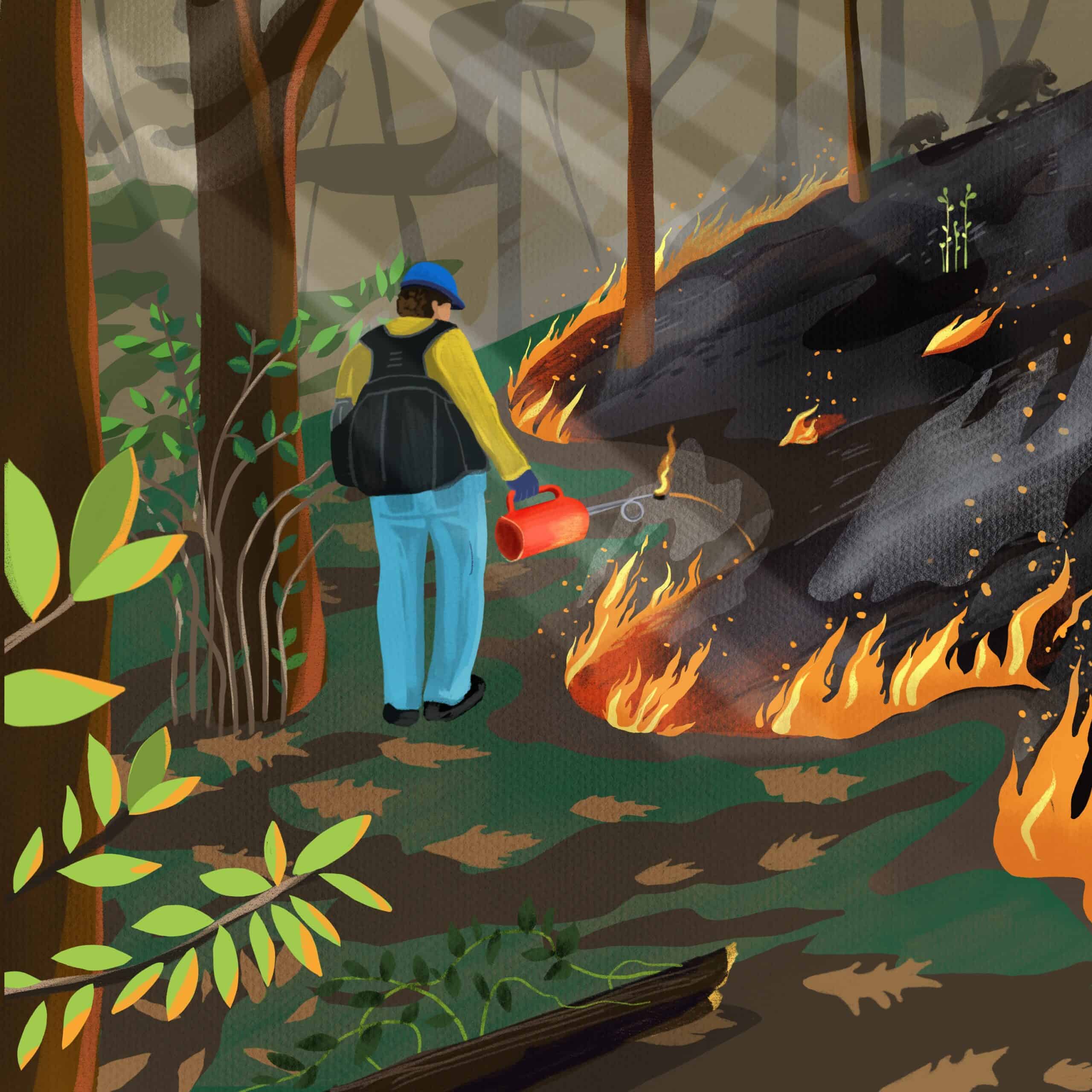 On Fire: Out of the green, into the black